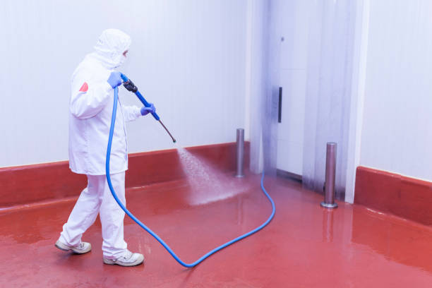 Professional Pressure Washing in Ponderosa Pine, NM